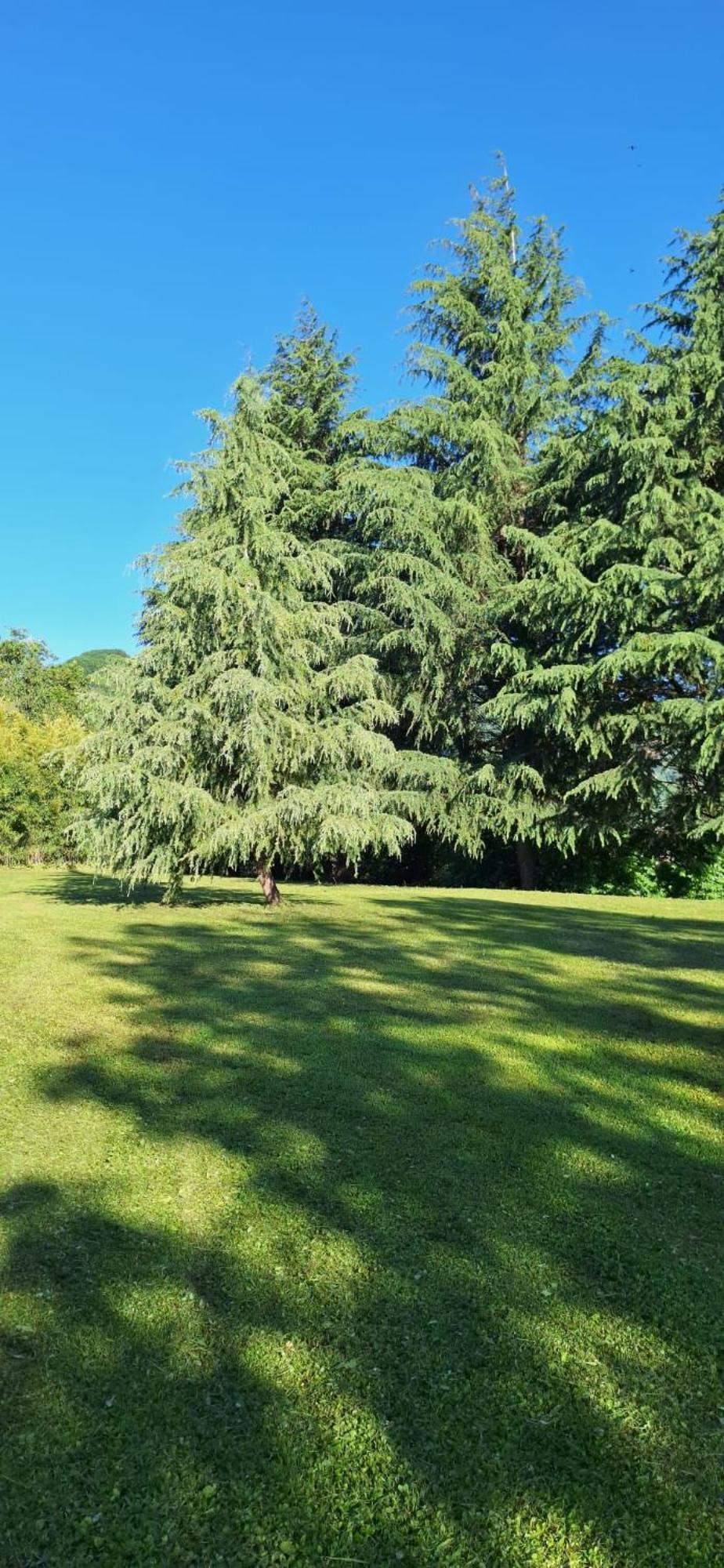 Villa Duno A Un Passo Da Citta Alta Clanezzo Buitenkant foto